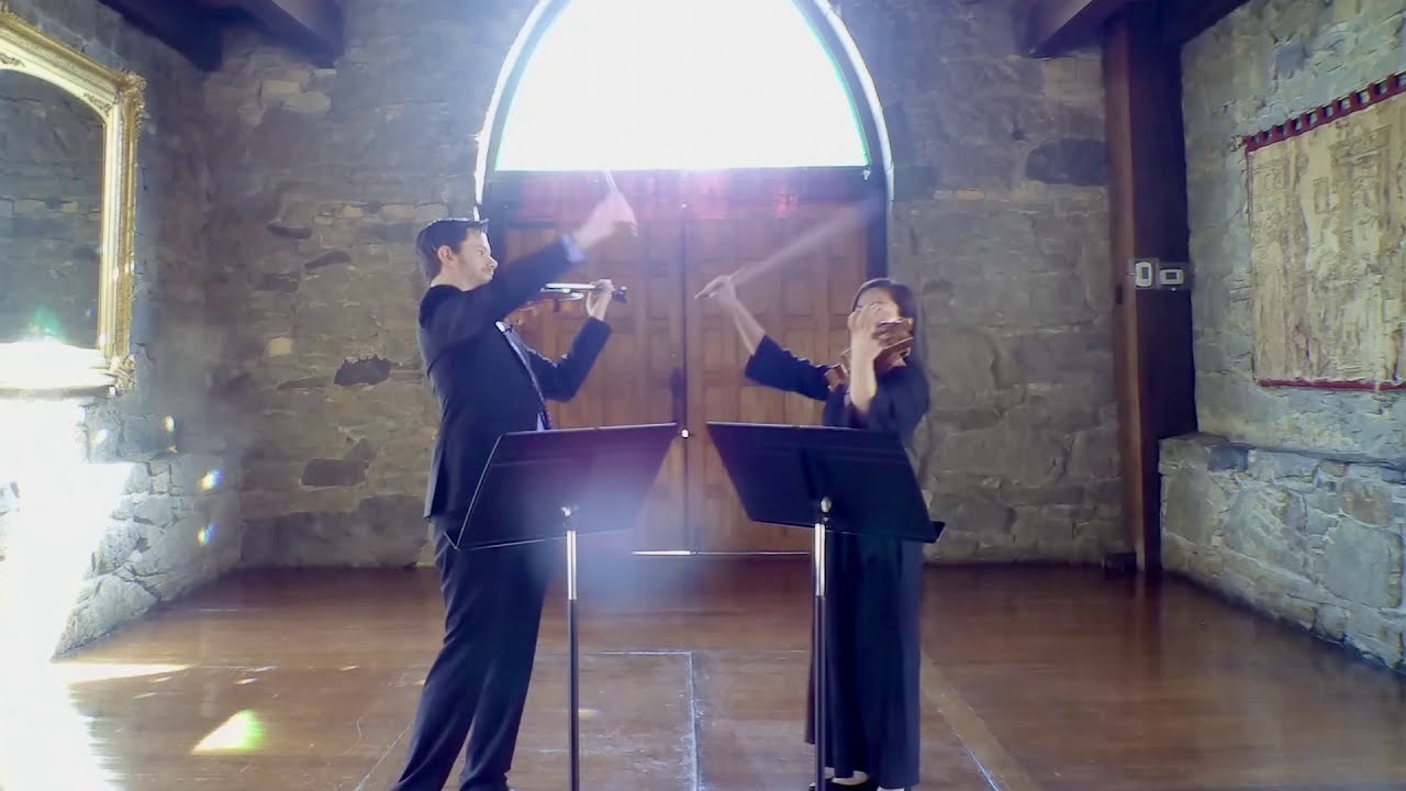 Pleyel: Grand Duo for Violin and Viola