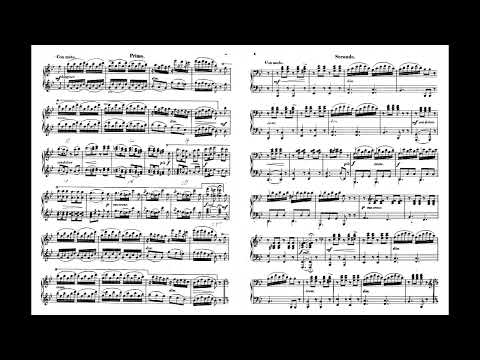 Gustav Lange - Träumende Blumen for Piano Four Hands, Op. 70 (1869) [Score-Video]