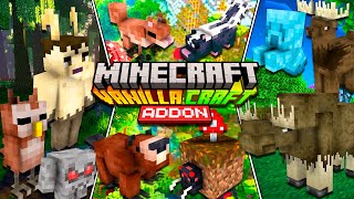 VANILLA CRAFT: ALCE, ESQUILO, CORUJA,CANGAMBÁ 1.20.80 | MINECRAFT ADDON MCPE