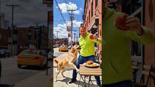 Golden Retriever Saves Man from Deadly Fall in NYC 😱🐕