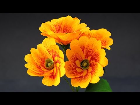 Paper Flowers - DIY Primrose Crepe Paper Flower