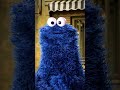 Cookie Monster Says Treat Yourself To A Cookie Sesamestreet