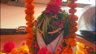 Pandit Anil shastri ji hsp is live
