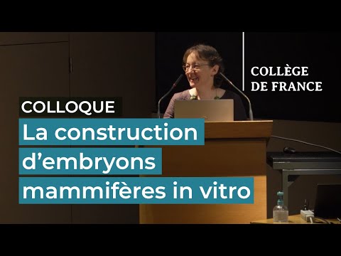 A construção de embriões mamíferos in vitro (4) – Denis Duboule (2021-2022)