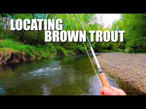 Understanding & Locating Brown Trout in a Stream & How to Catch Them - POV