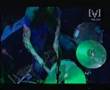 The Black Keys - Set You Free (Live TV) 