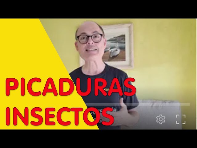 Vídeo relacionado con BullTek - Alivio Roll-On para Picaduras | Fórmula con Eucalipto y Menta | Eficaz contra Insectos y Medusas | Fácil de Llevar | No Grasa, Transparente, 10 ml (Paquete de 1)
