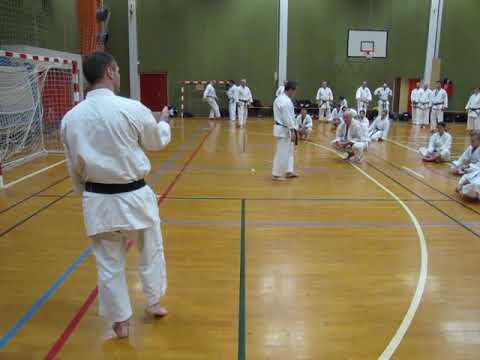 Kagawa-shihan demonstrates the last move of kata Gojushiho-dai #gojushihodai #kata #shotokan #空手道