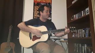 L&#39;oiseau vitre Jean Leloup (mon cover amateur)