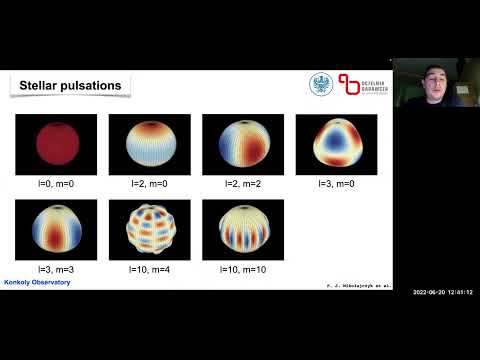 Przemyslaw J. Mikolajczyk  - Mercury-Manganese Stars In The Observations Of Tess Satellite