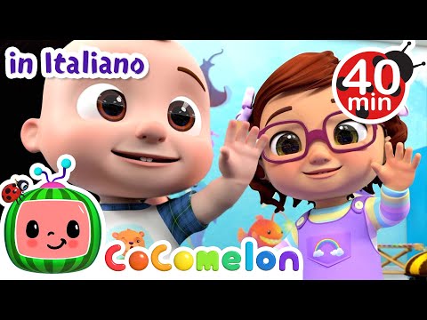 Ciao, ciao, ciao | CoComelon Italiano - Canzoni per Bambini