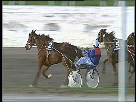 Trotto 13/11/2016 - 3ª corsa