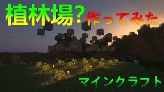 【マインクラフト】マイクラ初建築は植林場です【のんびり実況】