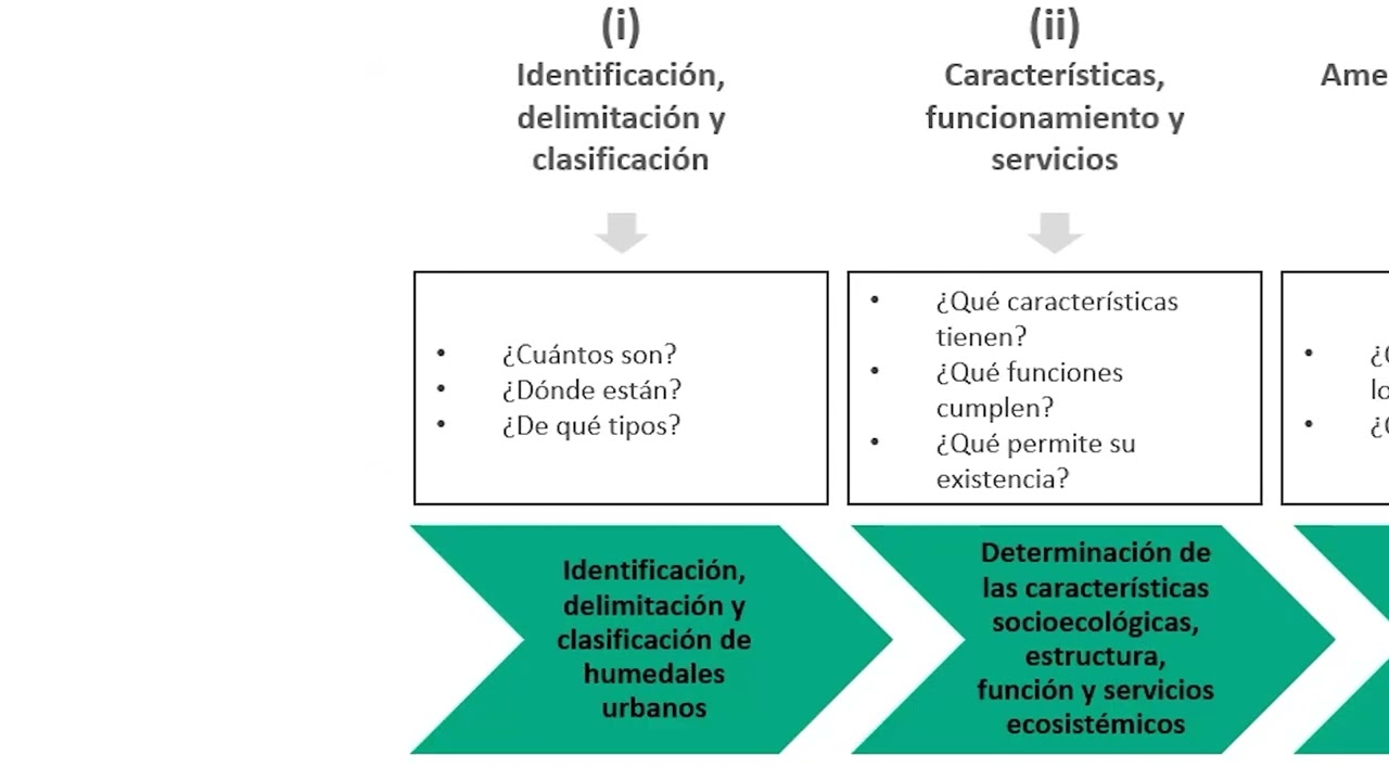 HUM2 M4V2 Propósito y estructura del reglamento