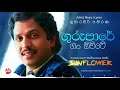 GURU PAARE KUMARASIRI PATHIRANA With Sunflower