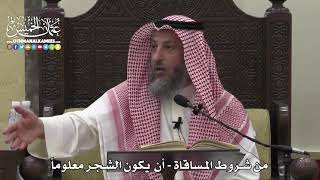 1516 - من شروط المساقاة - أن يكون الشجر معلوماً - عثمان الخميس