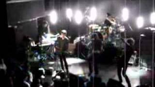 The Stills - Lola Stars and Stripes