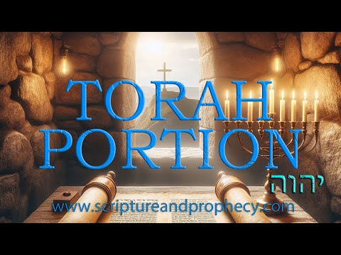 Torah Portion Week 11 - Vayigash - Joseph Reveals Himself to His Brothers (2021-2022)
