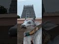 Enjoy Tiruvannamalai Temple Whatsapp Status Arunachala