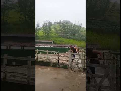 Cheia no Haras Santa Maria em Macaparana-PE. 28/04/2026