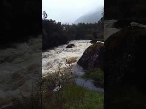 En Ecuador🇪🇨 el egua es vida cuidala #nature #visita #salcedocotopaxiecuador🇪🇨❤️ #shortviral