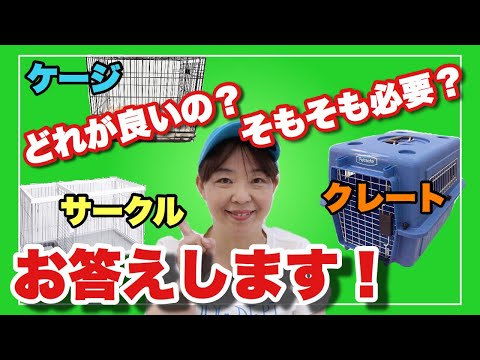 犬輸送用クレートの選び方