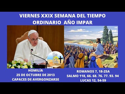 COMENTARIO DEL PAPA FRANCISCO A ROMANOS 7, 18-25. VIERNES XXIX SEMANA DEL TIEMPO ORDINARIO AÑO IMPAR