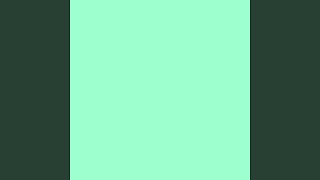 0815 Music Video