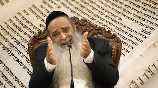 הרב רפאל זר - שלמות התורה! (הרב רפאל זר) - התמונה מוצגת ישירות מתוך אתר האינטרנט יוטיוב. זכויות היוצרים בתמונה שייכות ליוצרה. קישור קרדיט למקור התוכן נמצא בתוך דף הסרטון