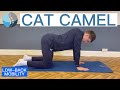 82. Cat Camel - Mobility Exercise for Lower Back Pain