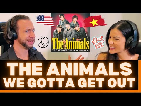 First Time Hearing The Animals - We Gotta Get Out Of This Place Reaction - ONE HIT WONDERS? NOPE!