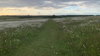 an imperfect cover of oh my by alessi rose