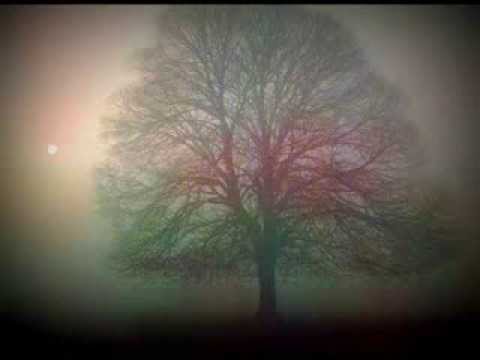 Video thumbnail for Im Nebel