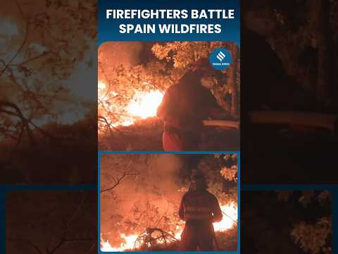 Spain Wildfires Rage Amid Heatwave, Worst Season in Decades