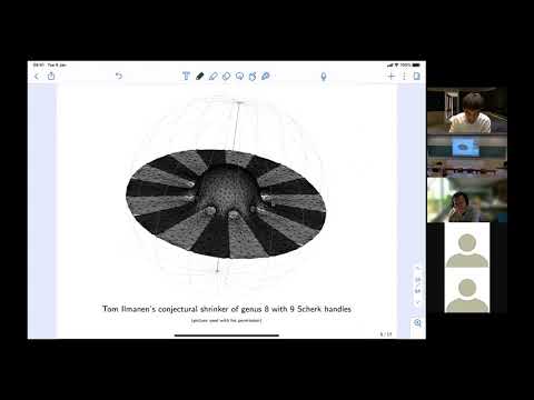F. Schulze - Mean curvature flow with generic initial data