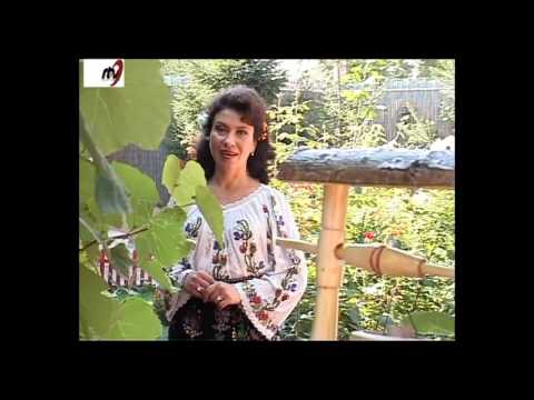 Camelia  Ciobanu  Filip -  Tanara  plecai  de- acasa