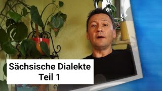 preview picture of video 'Sächsische Dialekte Teil 1'