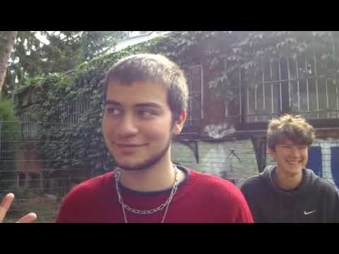 Greta Thunberg + Fridays for Future : Schüler zu  Revolution oder Strategie Sanfte Zwischenschritte?