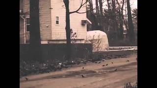 No one is free, even the birds are chained to the sky.