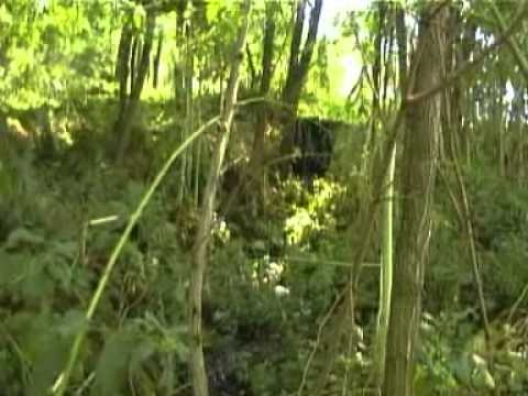 DEALU MORII statia  de epurare din comuna