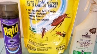 HOW TO KILL FLEAS on carpet and dog under 30 usd!!!