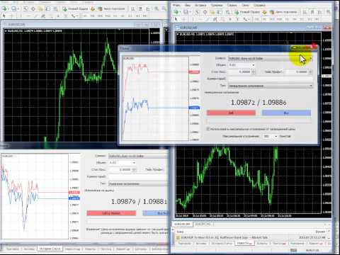 Forex4you vs Alpari. Вы будете в шоке!