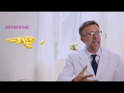 Berberine fogyás tanulmány, A máriatövis kivonat a fogyás