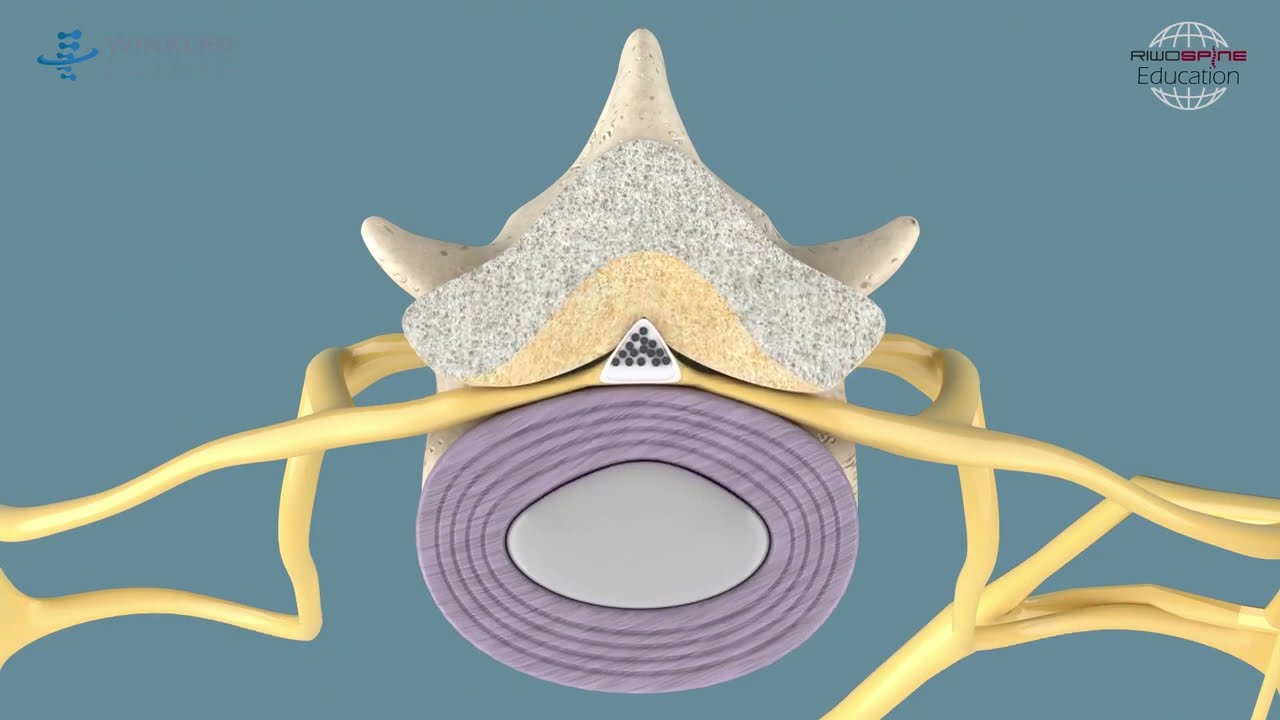 Jorge Alvaro Gonzalez Ross-53