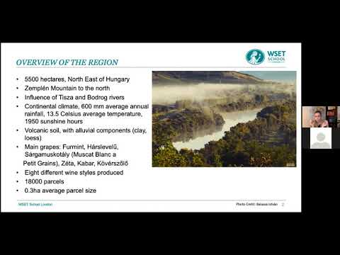 Discover Tokaj with Annamaria Panka Juhasz