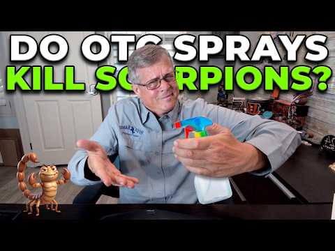 The “Spray and Pray” Mistake: DIY vs. Professional Scorpion Control