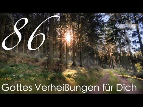 Gottes Verheißungen für Dich - 1. Johannes 5,12 | Videokalender 86/365 - Deutschland braucht JESUS