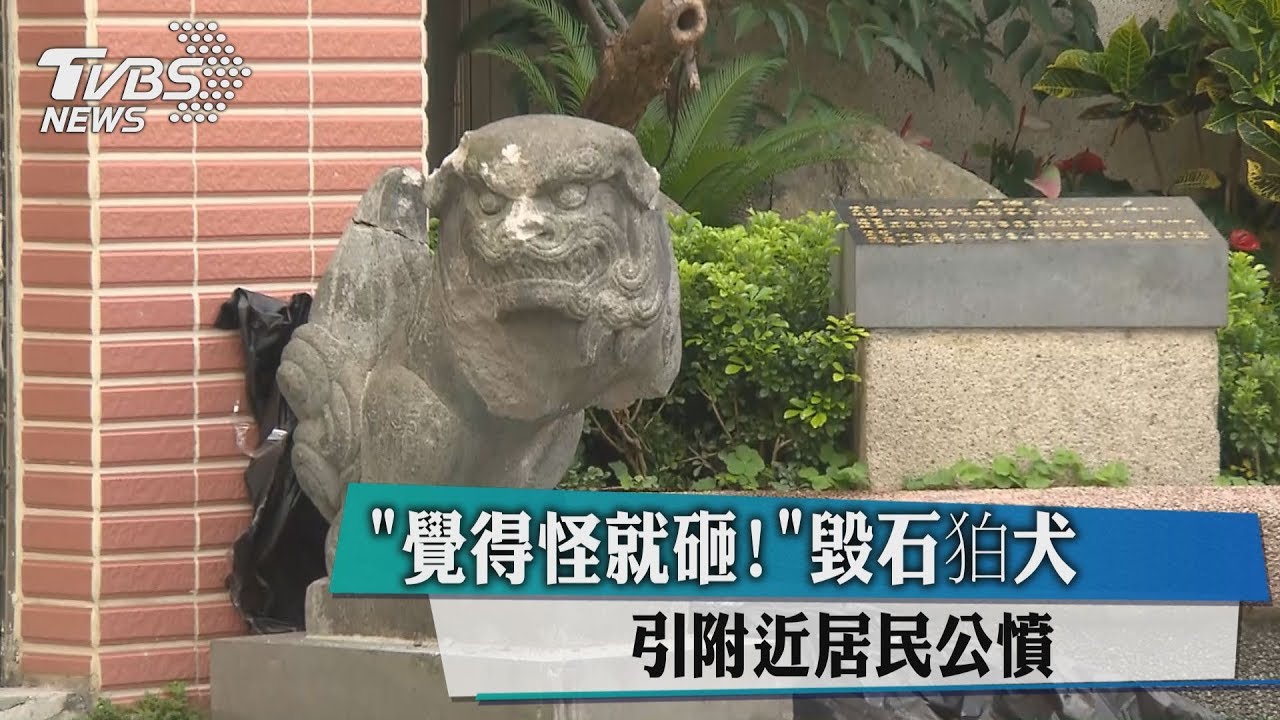 拒交保！　砸石犬2嫌有逃亡之虞「裁定收押」