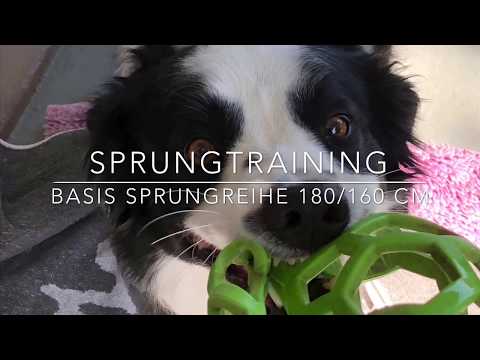 Sprungtraining 21.5.2018