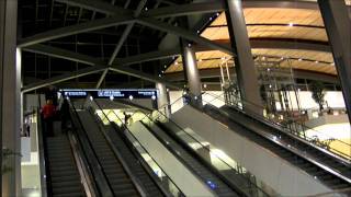 preview picture of video 'Leap, the Red Rabbit at the Sacramento International Airport (SMF)'